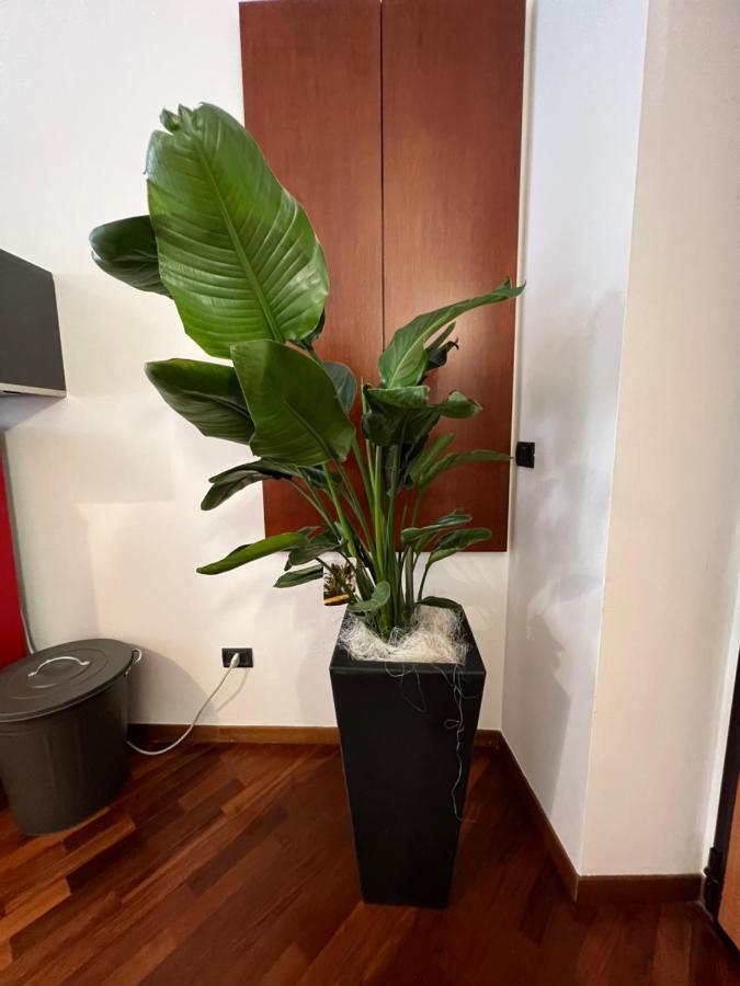 Effealatapartments - Appartamento Del Duca Senigallia Kültér fotó